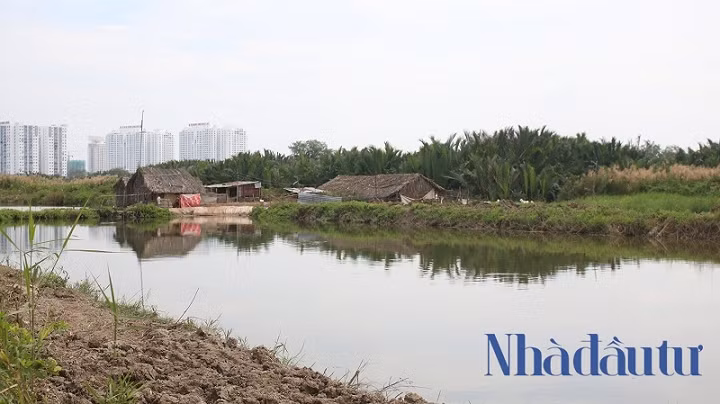 Ben trong du an Phuoc Kien ong Tat Thanh Cang dong y ban cho QCGL-Hinh-11