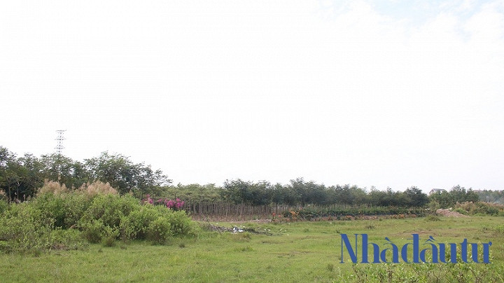 Ben trong du an Phuoc Kien ong Tat Thanh Cang dong y ban cho QCGL-Hinh-8