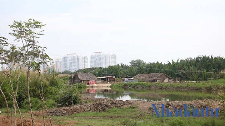 Ben trong du an Phuoc Kien ong Tat Thanh Cang dong y ban cho QCGL-Hinh-7