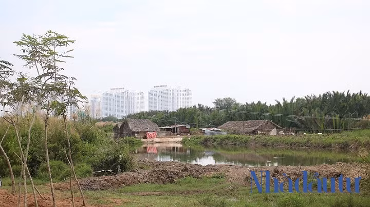 Ben trong du an Phuoc Kien ong Tat Thanh Cang dong y ban cho QCGL-Hinh-7