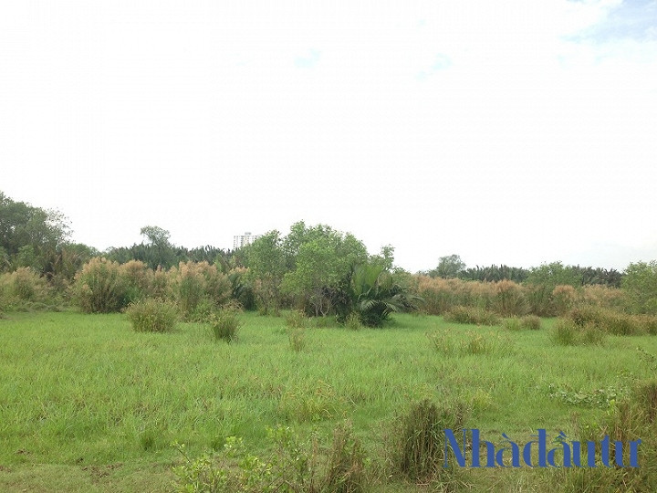 Ben trong du an Phuoc Kien ong Tat Thanh Cang dong y ban cho QCGL-Hinh-2