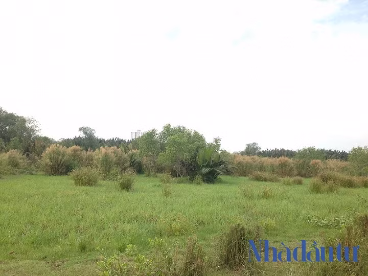 Ben trong du an Phuoc Kien ong Tat Thanh Cang dong y ban cho QCGL-Hinh-2