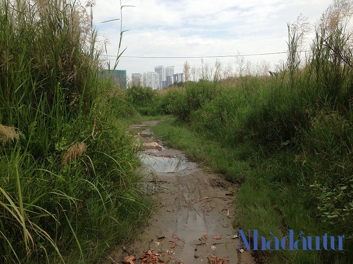 Ben trong du an Phuoc Kien ong Tat Thanh Cang dong y ban cho QCGL-Hinh-4