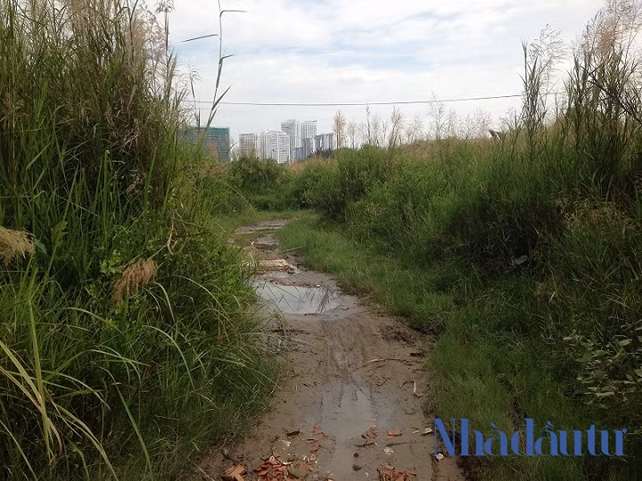 Ben trong du an Phuoc Kien ong Tat Thanh Cang dong y ban cho QCGL-Hinh-4