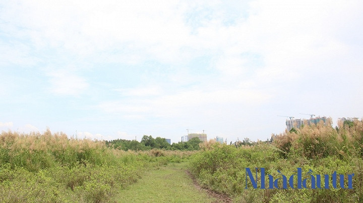 Ben trong du an Phuoc Kien ong Tat Thanh Cang dong y ban cho QCGL