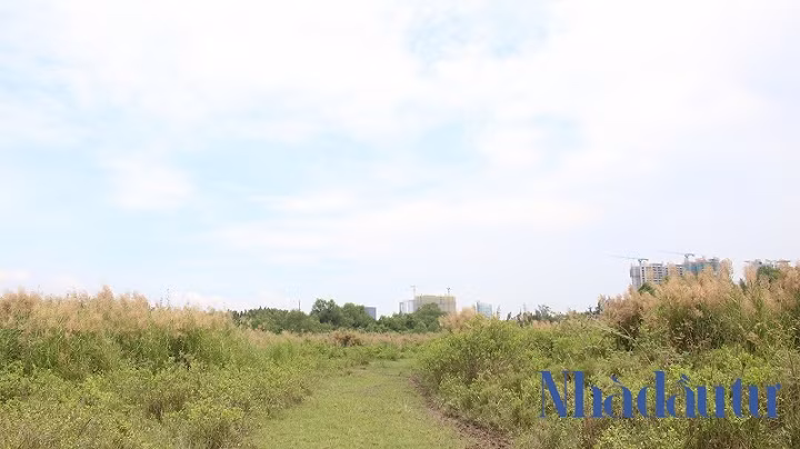 Ben trong du an Phuoc Kien ong Tat Thanh Cang dong y ban cho QCGL