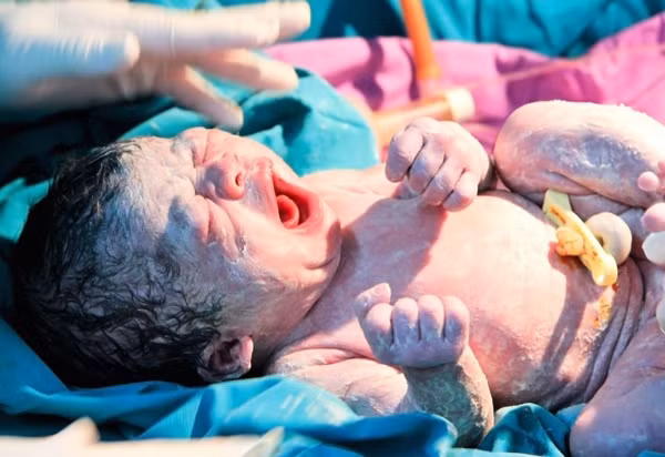 Qua du sinh 2 tuan van khong den BV, me suyt hai chet con-Hinh-2