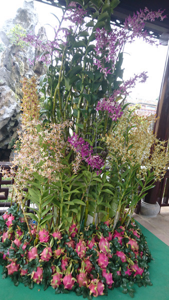 Sự kết hợp bắt mắt. Ảnh: Trần Hòe.