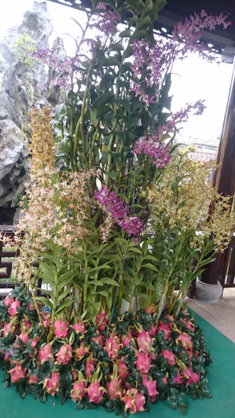 Sự kết hợp bắt mắt. Ảnh: Trần Hòe.