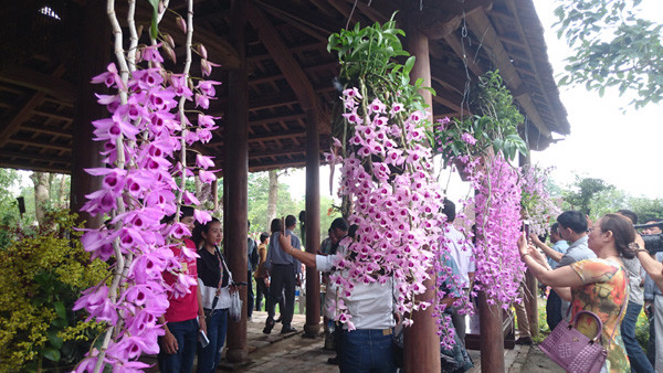 Triển lãm thu hút nhiều người dân và du khách đến thưởng lãm. Ảnh: Trần Hòe.