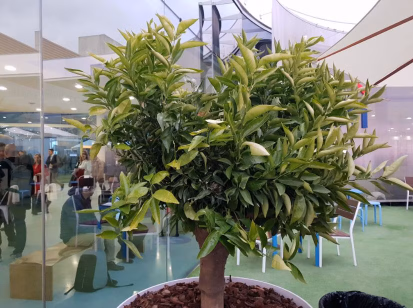 Ảnh chụp bằng Galaxy S9+ khi dùng khẩu độ f/1.5. Ảnh chụp bằng Galaxy S9+ khi dùng khẩu độ f/1.5.