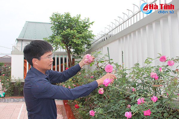 Để sở hữu vườn hồng đa sắc như thế, anh Nhật phải lặn lội mua ở các vườn cây cảnh trong Nam, ngoài Bắc và lên mạng tìm hiểu rồi đặt từ các nhà vườn.