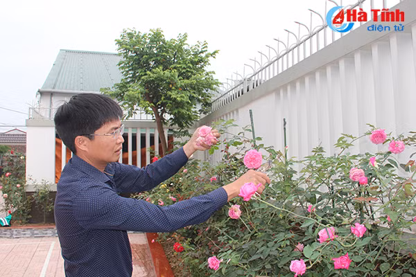 Để sở hữu vườn hồng đa sắc như thế, anh Nhật phải lặn lội mua ở các vườn cây cảnh trong Nam, ngoài Bắc và lên mạng tìm hiểu rồi đặt từ các nhà vườn.