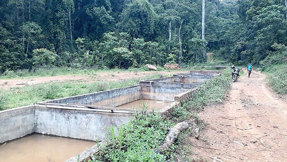 Ca tam “sieu re” Trung Quoc vao o at, ca tam Kon Plong “pha san“