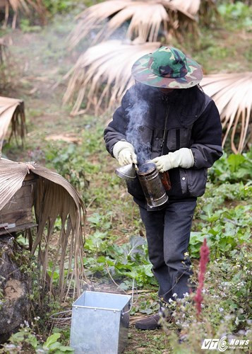 Khi thu hoạch, người nuôi ong thường dùng bình xịt khói thế này để đuổi ong khỏi thùng.