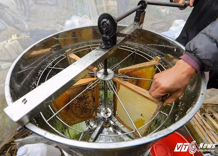 Máy quay mật ong thường gặp của các nhà nuôi ong ở Đồng Văn. Máy quay được đặt trong màn, hạn chế ong bay vào vì khi quay nếu mật bắn vào cánh ong thì ong sẽ chết ngay.