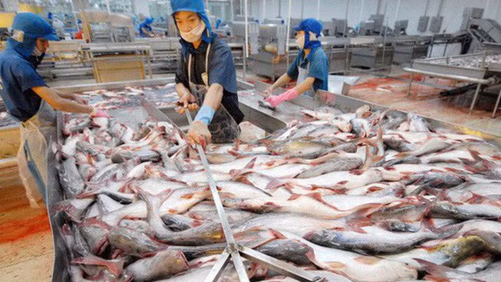 HVG bất ngờ lỗ gấp 10 lần sau khi kiểm toán.