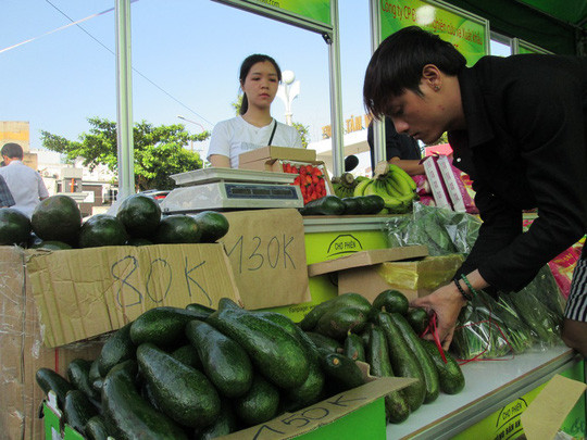 Thị trường xuất hiện nhiều loại bơ trồng trong nước giá cao nhờ chất lượng tốt.