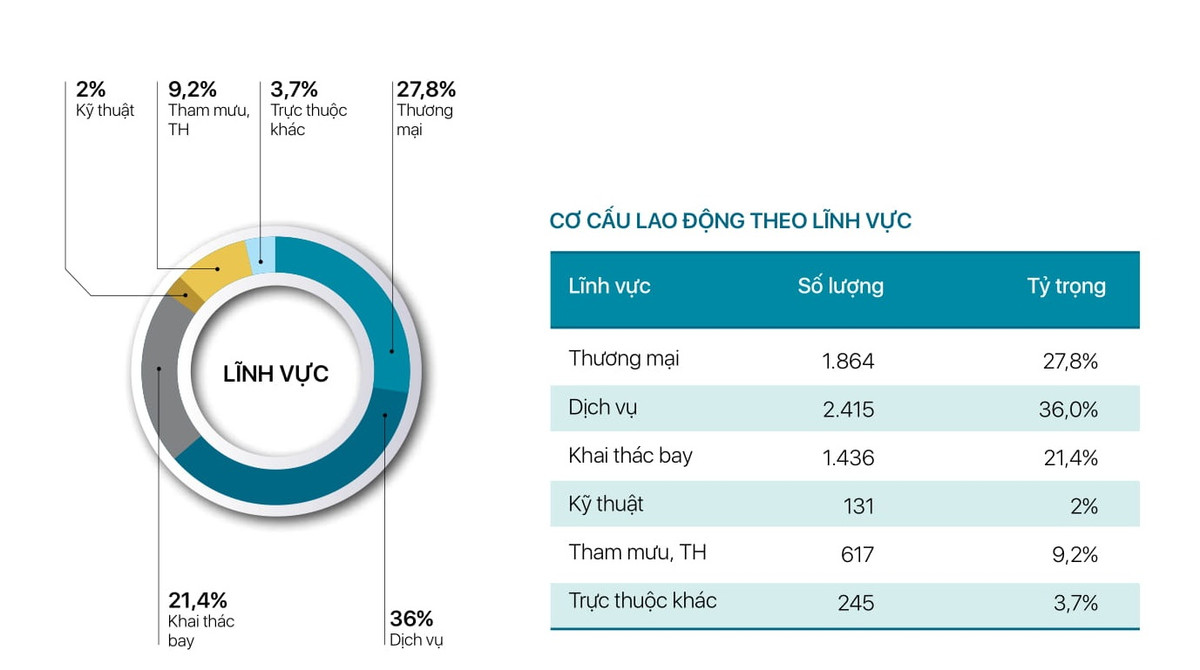 Cơ cấu lao động Vietnam Airlines.