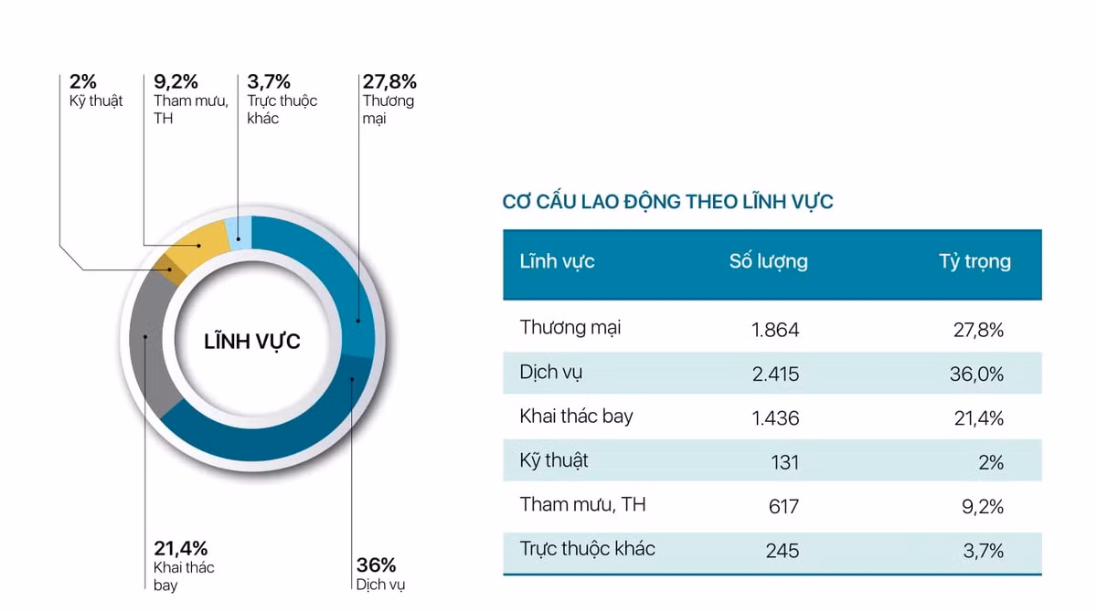 Cơ cấu lao động Vietnam Airlines.