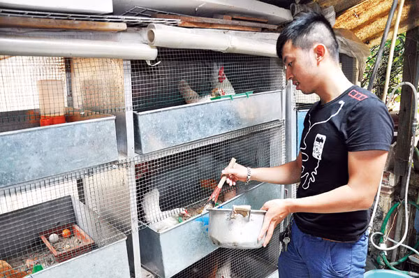 Hinh anh trai ga quy toc sieu hiem giua Ha Noi