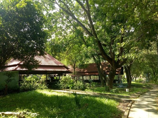 Quán cà phê trong công viên.