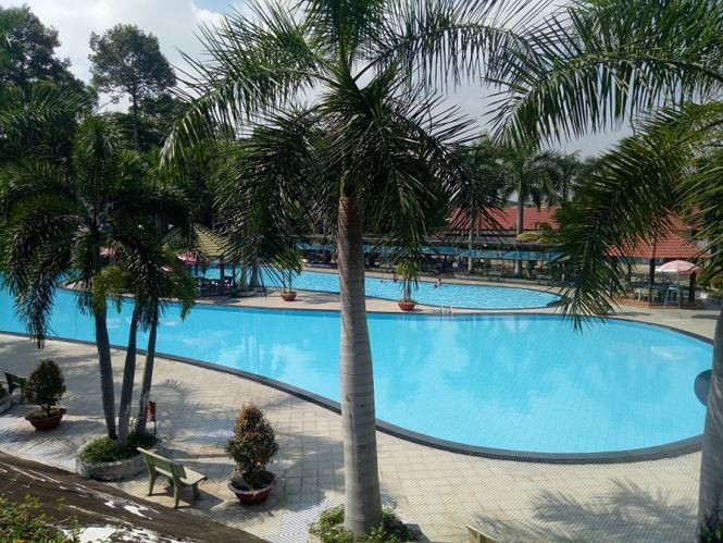 Kinh doanh hồ bơi trong công viên.