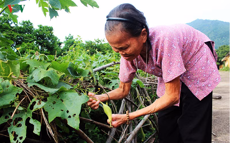 Anh: Xot xa nhung phan nguoi song mon o trai phong bo hoang-Hinh-14