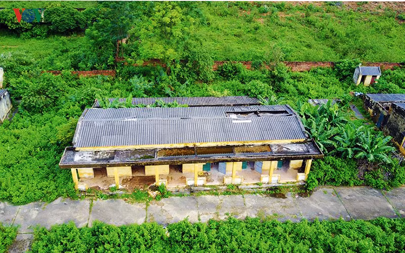 Anh: Xot xa nhung phan nguoi song mon o trai phong bo hoang-Hinh-2