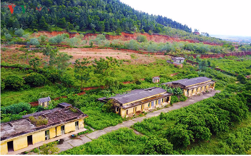 Anh: Xot xa nhung phan nguoi song mon o trai phong bo hoang