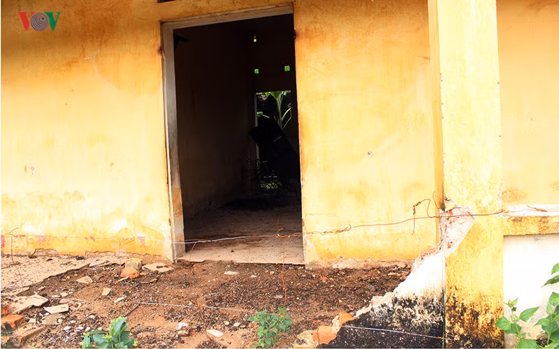 Anh: Xot xa nhung phan nguoi song mon o trai phong bo hoang-Hinh-6