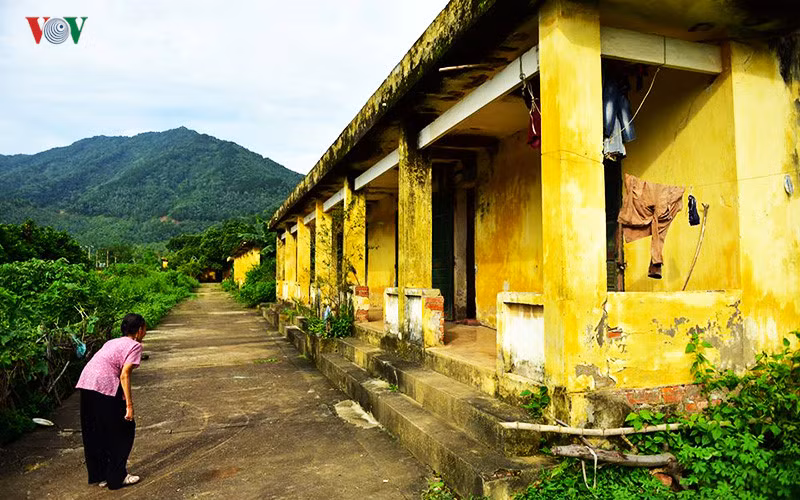 Anh: Xot xa nhung phan nguoi song mon o trai phong bo hoang-Hinh-3