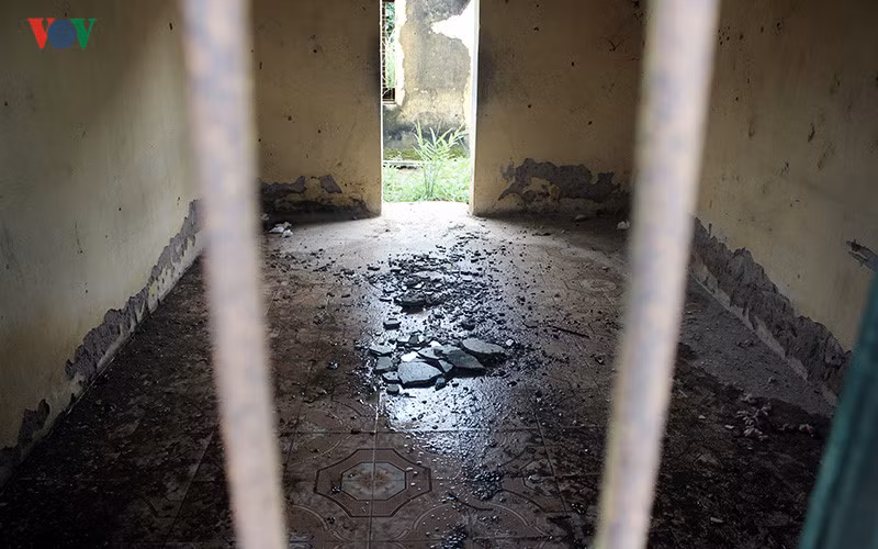 Anh: Xot xa nhung phan nguoi song mon o trai phong bo hoang-Hinh-5