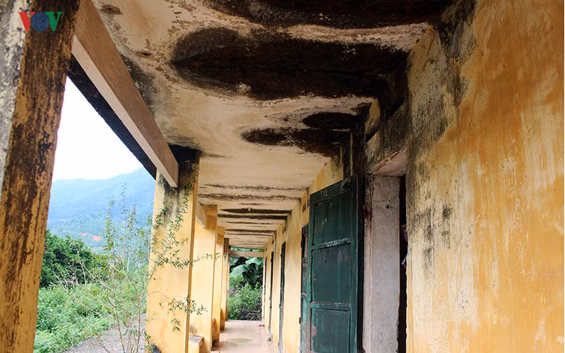 Anh: Xot xa nhung phan nguoi song mon o trai phong bo hoang-Hinh-7