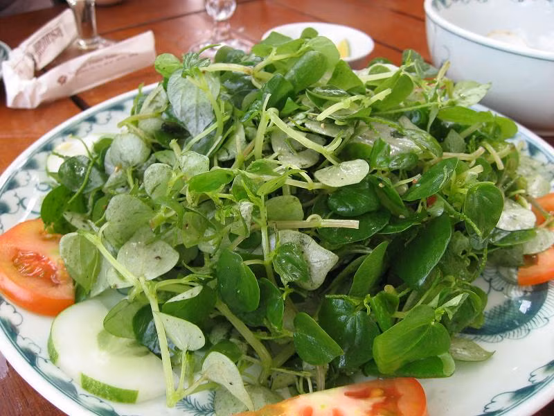 Rau dai "than duoc" dat hon thit: Dan Viet dua nhau trong-Hinh-4