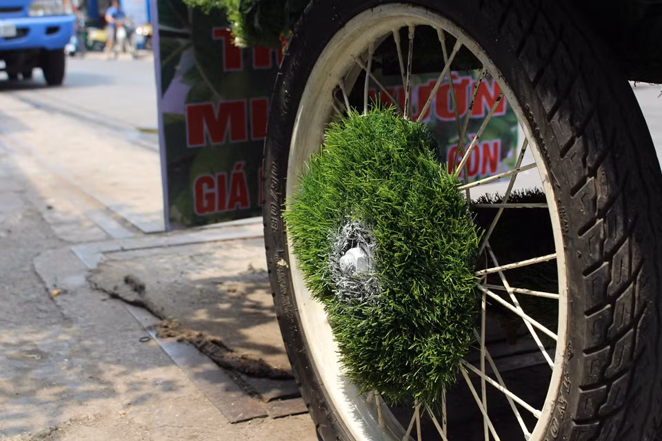 “Trời Sài Gòn nóng quá, trải cỏ xanh lên trông mát mắt hơn hẳn. Không chỉ vậy, nó còn khiến chiếc xe sạch sẽ nữa”, anh Hiển nói thêm.