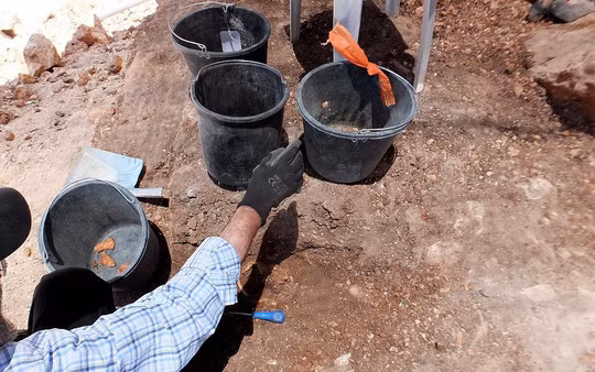 Hai cot duoi be nuoc tiet lo vu chat dau tap the trong co van-Hinh-2