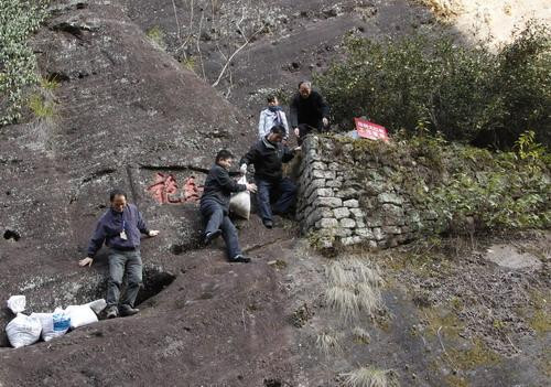 Cây cổ thụ Đại Hồng Bào nằm trong khu Cửu Long Khoa, nằm cheo leo trên vách núi Vũ Di dựng đứng.