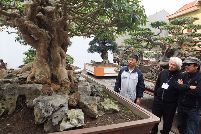 Bang lang co thu hinh nam sieu doc cua dai gia Phu Tho-Hinh-3