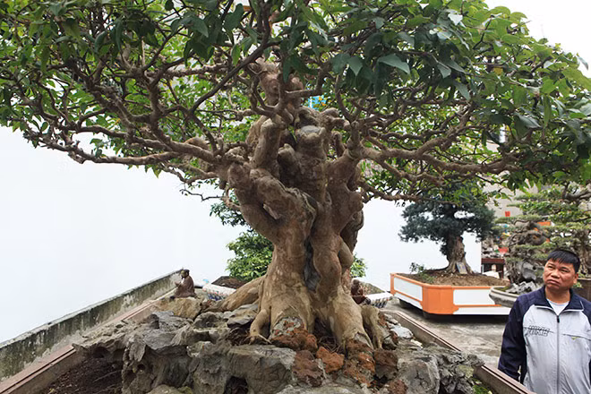 Bang lang co thu hinh nam sieu doc cua dai gia Phu Tho-Hinh-11