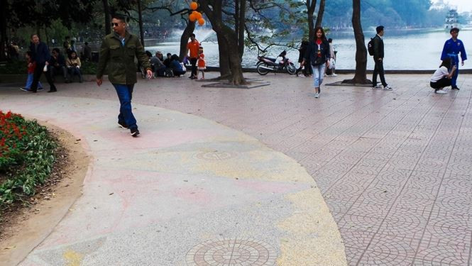 Rất nhiều loại gạch khác nhau được lát trên một nền, một khu vực gần nhau.