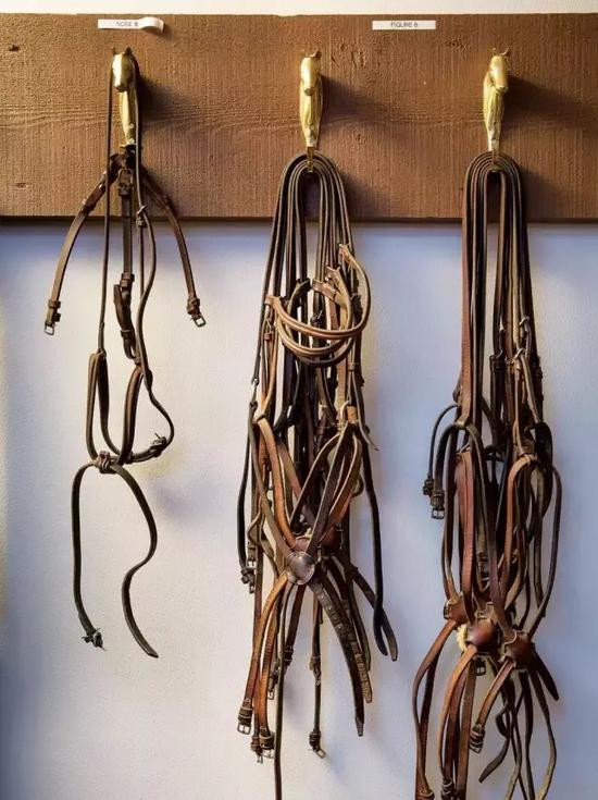 Dây đai ngựa bằng da tại trang trại.