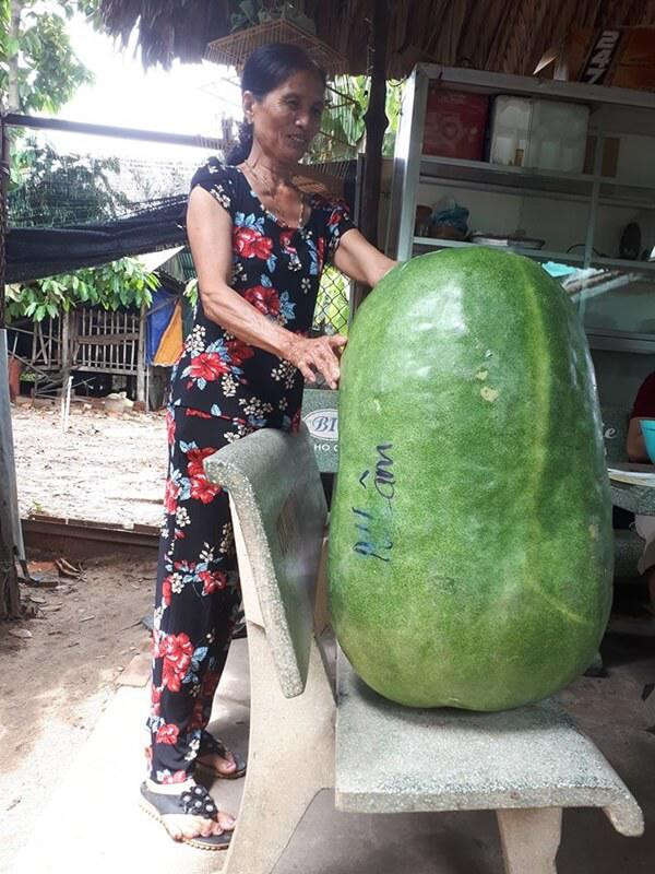 Sung sot qua bi “de chet nguoi”, khi biet nguon goc con soc gap boi-Hinh-4