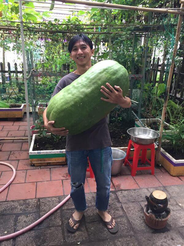 Sung sot qua bi “de chet nguoi”, khi biet nguon goc con soc gap boi-Hinh-2