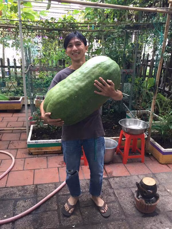 Sung sot qua bi “de chet nguoi”, khi biet nguon goc con soc gap boi-Hinh-2