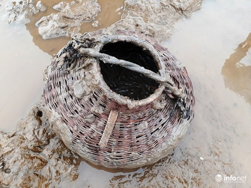 Những chiếc giỏ mây hoặc tre được mang đi để đựng cá.