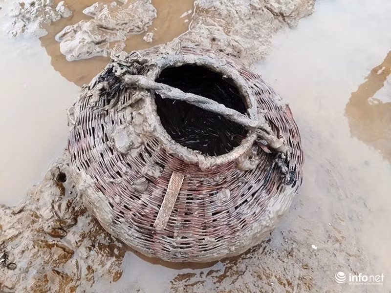 Những chiếc giỏ mây hoặc tre được mang đi để đựng cá.