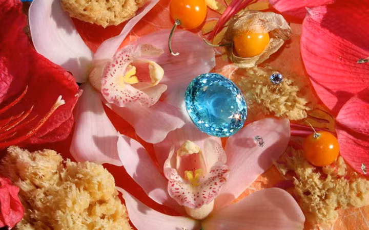 Viên đá quý này có giá 125 triệu USD.