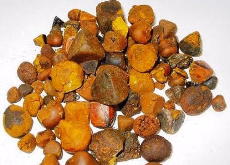 Soi mat trau bo dat nhu vang rong: 300 trieu/kg cung kho mua-Hinh-2