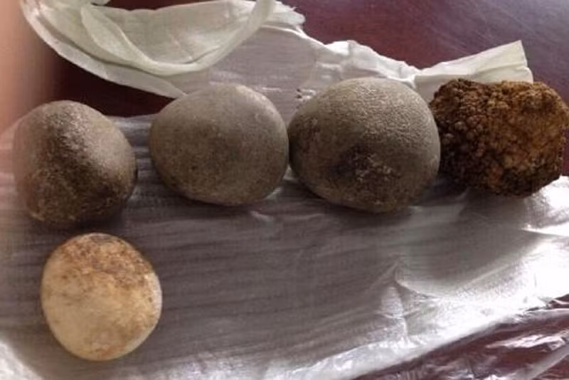 Soi mat trau bo dat nhu vang rong: 300 trieu/kg cung kho mua-Hinh-3